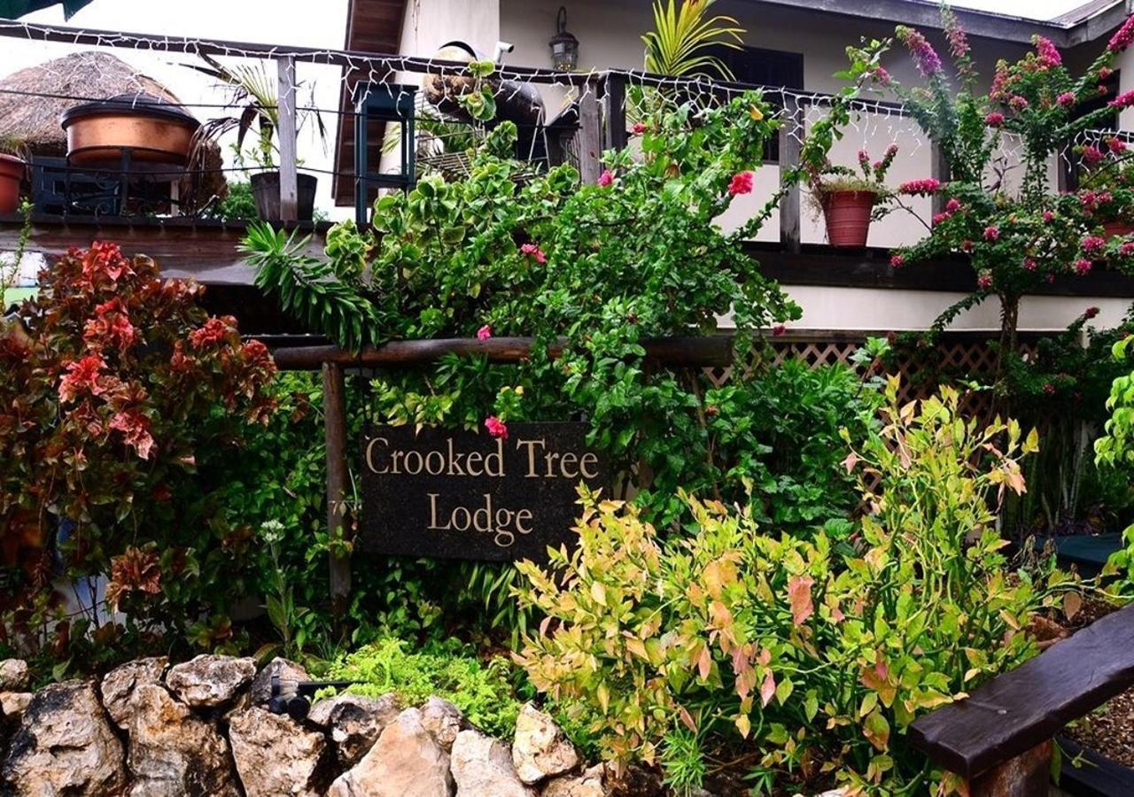 Crooкed Tree Lodge Belize Crooked Tree Extérieur photo